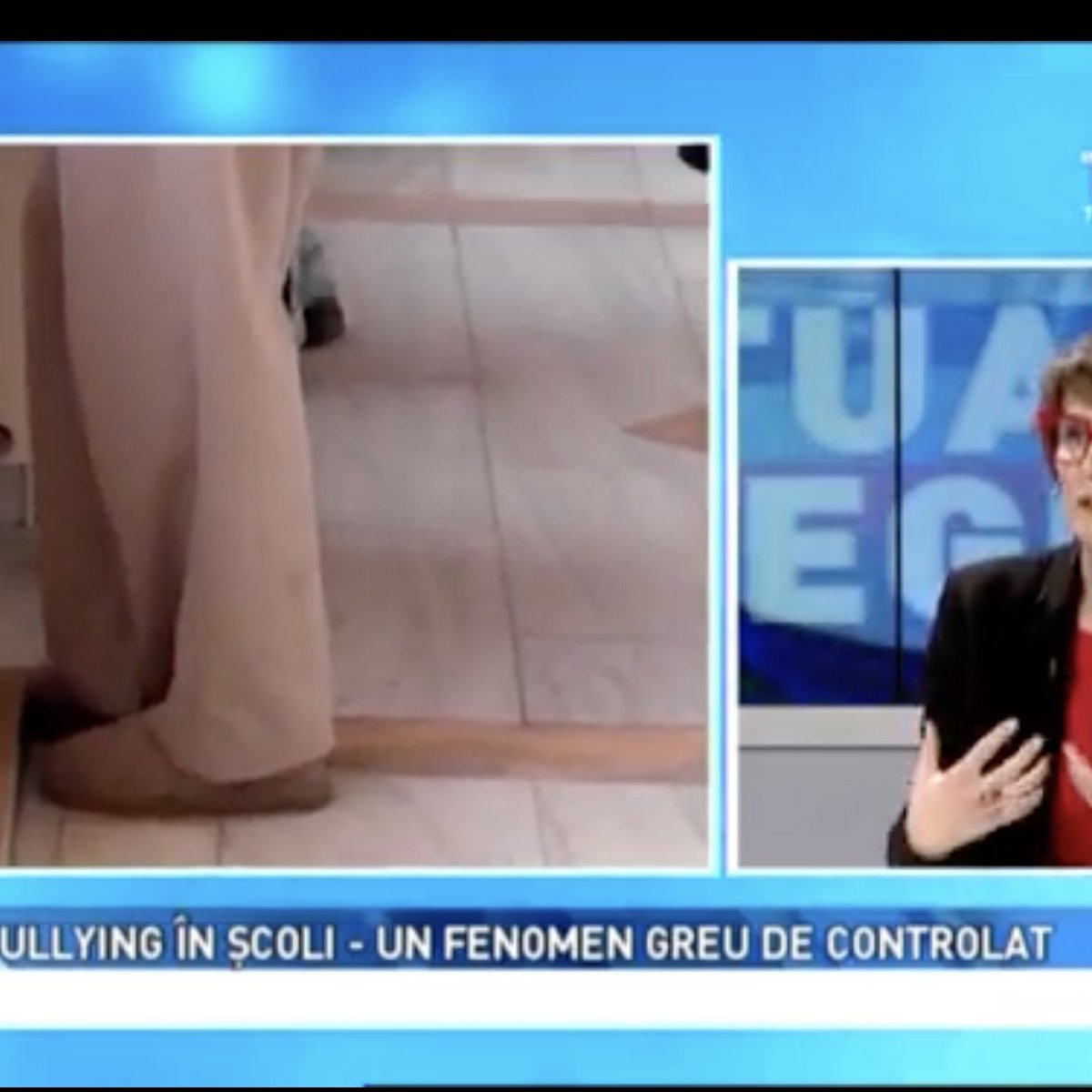 Amelia Boncea la TV