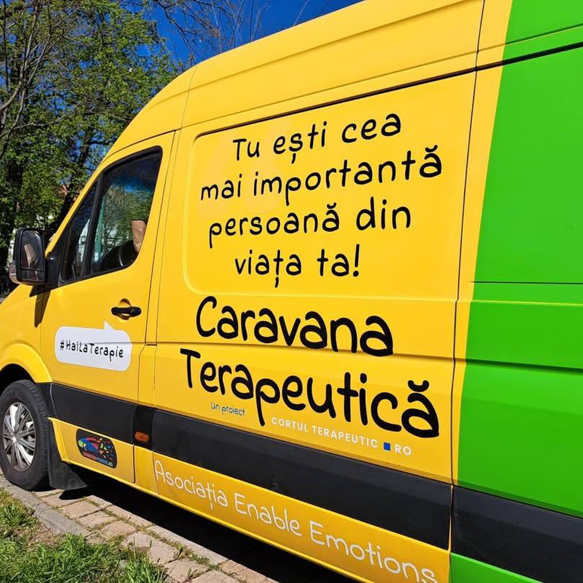 Despre noi